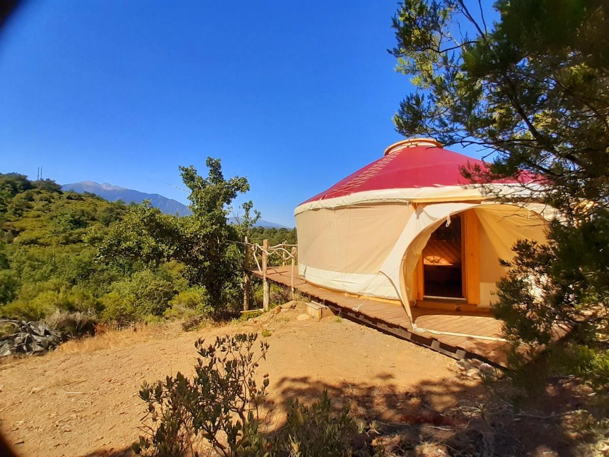 Yourte Contemporaine Avec Magnifique Vue Sur Les Montagnes Rigarda Exteriör bild